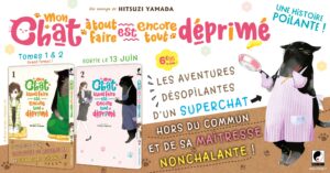 Mon chat à tout faire est encore tout déprimé chez Meian