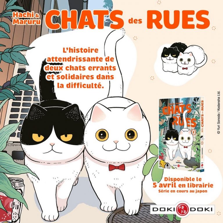 Hachi & Maruru chats de rues