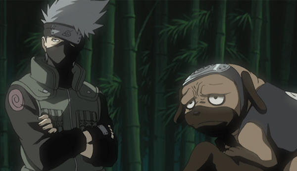 Naruto sans les fillers : saison 9