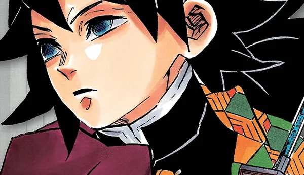 Demon Slayer édition Pilier