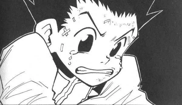manga : hunter x hunter