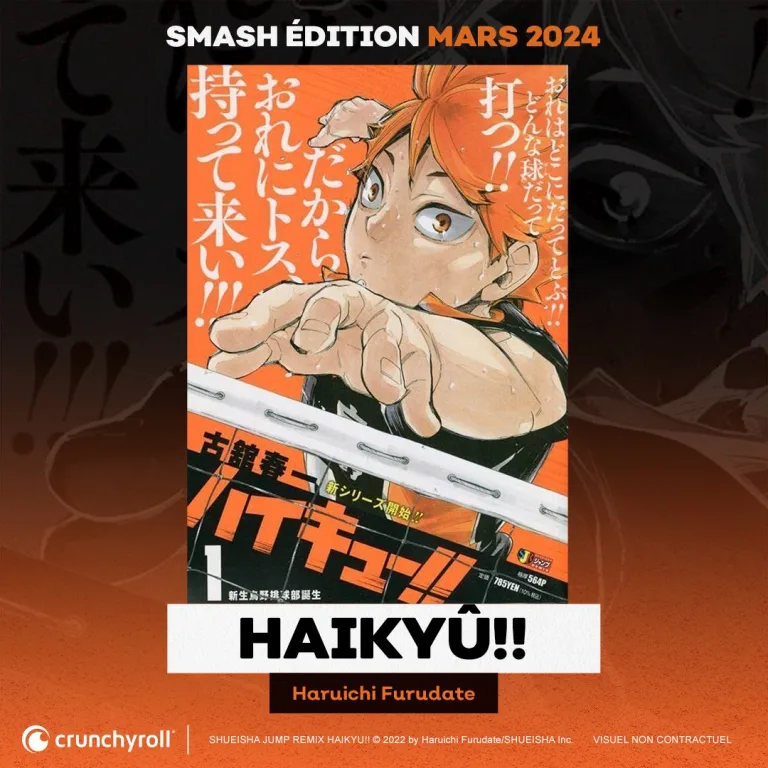 Haikyû : Smash édition