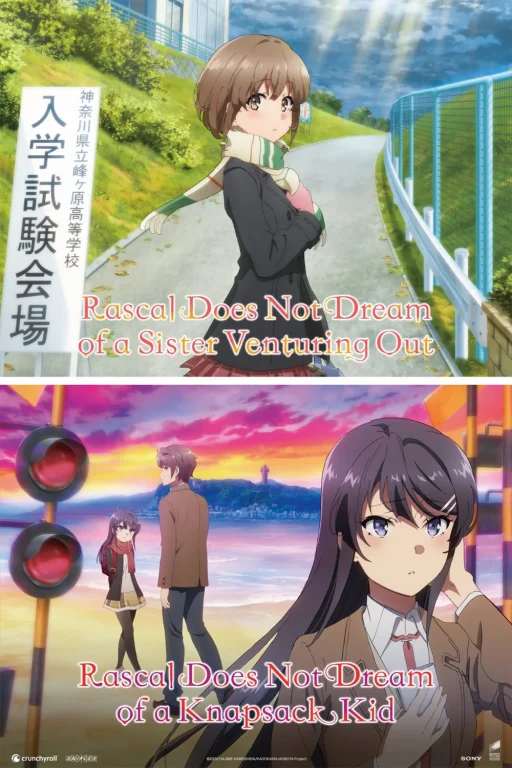 Rascal Does Not Dream au cinéma