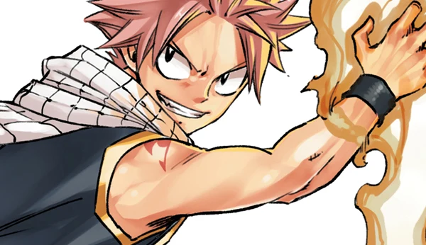 Fairy tail édition anniversaire